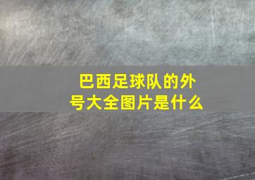 巴西足球队的外号大全图片是什么