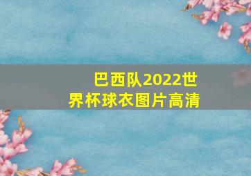 巴西队2022世界杯球衣图片高清