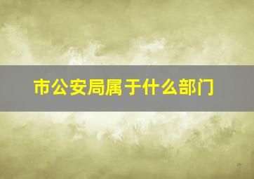 市公安局属于什么部门