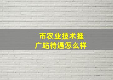 市农业技术推广站待遇怎么样