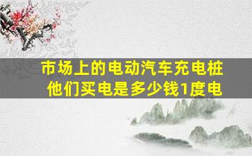 市场上的电动汽车充电桩他们买电是多少钱1度电