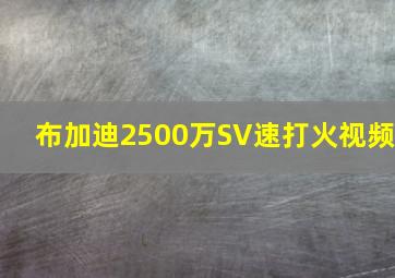 布加迪2500万SV速打火视频