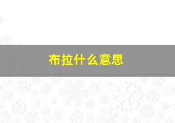 布拉什么意思