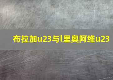 布拉加u23与l里奥阿维u23