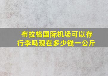 布拉格国际机场可以存行李吗现在多少钱一公斤