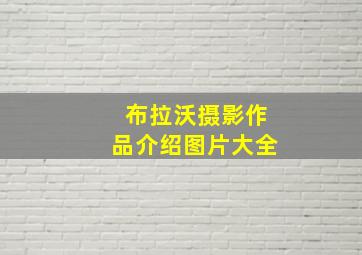 布拉沃摄影作品介绍图片大全