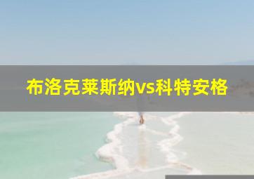 布洛克莱斯纳vs科特安格