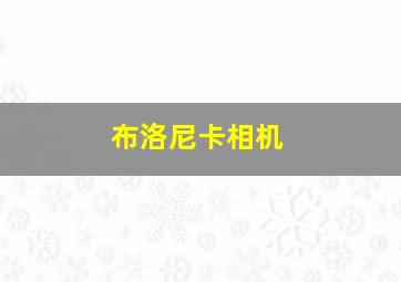 布洛尼卡相机