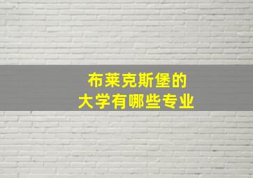 布莱克斯堡的大学有哪些专业