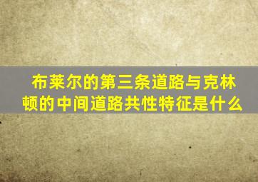 布莱尔的第三条道路与克林顿的中间道路共性特征是什么