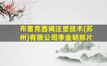 布雷克西姆注塑技术(苏州)有限公司李金明照片