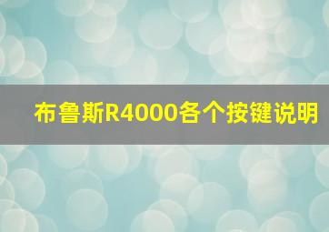 布鲁斯R4000各个按键说明