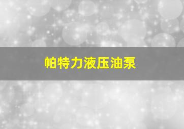 帕特力液压油泵