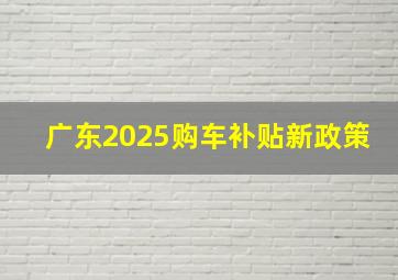 广东2025购车补贴新政策