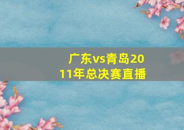 广东vs青岛2011年总决赛直播