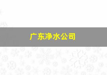 广东净水公司