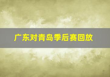 广东对青岛季后赛回放