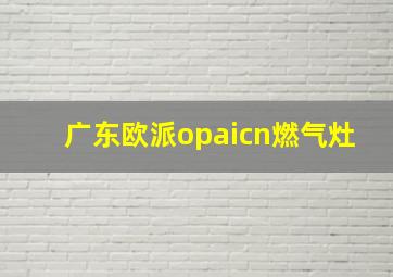 广东欧派opaicn燃气灶