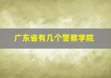 广东省有几个警察学院