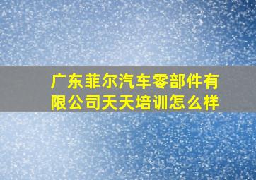 广东菲尔汽车零部件有限公司天天培训怎么样