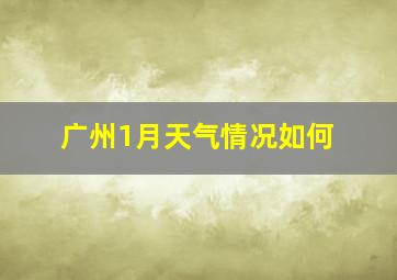 广州1月天气情况如何