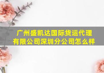 广州盛凯达国际货运代理有限公司深圳分公司怎么样