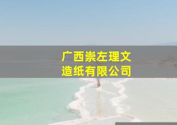 广西崇左理文造纸有限公司