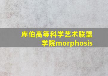 库伯高等科学艺术联盟学院morphosis