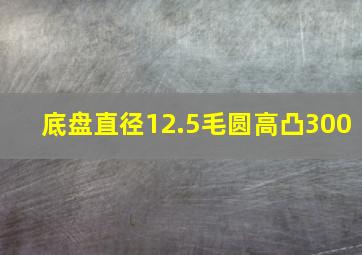 底盘直径12.5毛圆高凸300