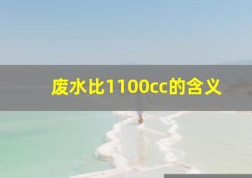 废水比1100cc的含义