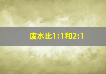 废水比1:1和2:1