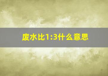 废水比1:3什么意思