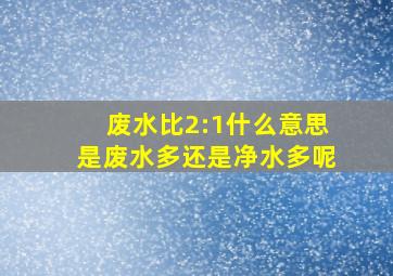 废水比2:1什么意思是废水多还是净水多呢