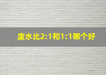 废水比2:1和1:1哪个好