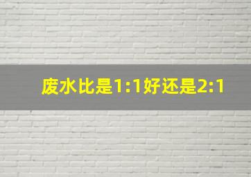 废水比是1:1好还是2:1