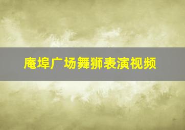 庵埠广场舞狮表演视频