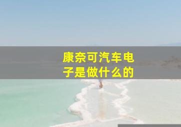 康奈可汽车电子是做什么的