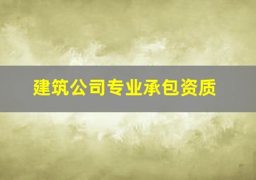 建筑公司专业承包资质