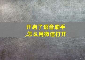 开启了语音助手,怎么用微信打开