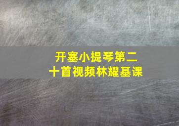 开塞小提琴第二十首视频林耀基课