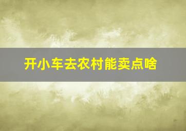 开小车去农村能卖点啥