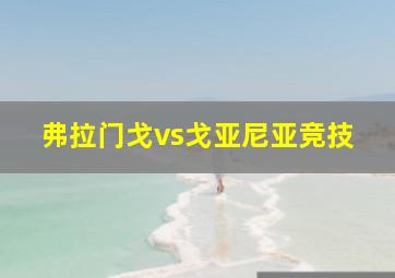 弗拉门戈vs戈亚尼亚竞技