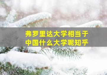 弗罗里达大学相当于中国什么大学呢知乎