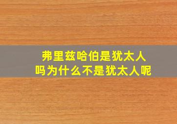 弗里兹哈伯是犹太人吗为什么不是犹太人呢