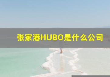 张家港HUBO是什么公司