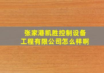 张家港凯胜控制设备工程有限公司怎么样啊