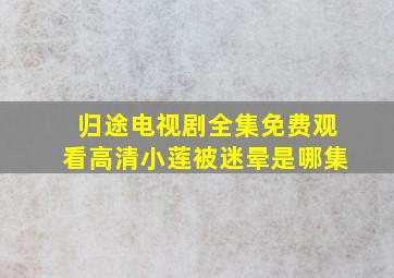 归途电视剧全集免费观看高清小莲被迷晕是哪集