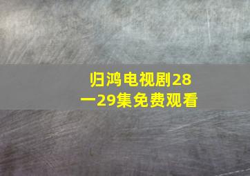 归鸿电视剧28一29集免费观看