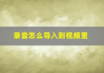 录音怎么导入到视频里