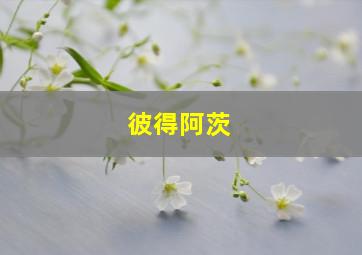 彼得阿茨